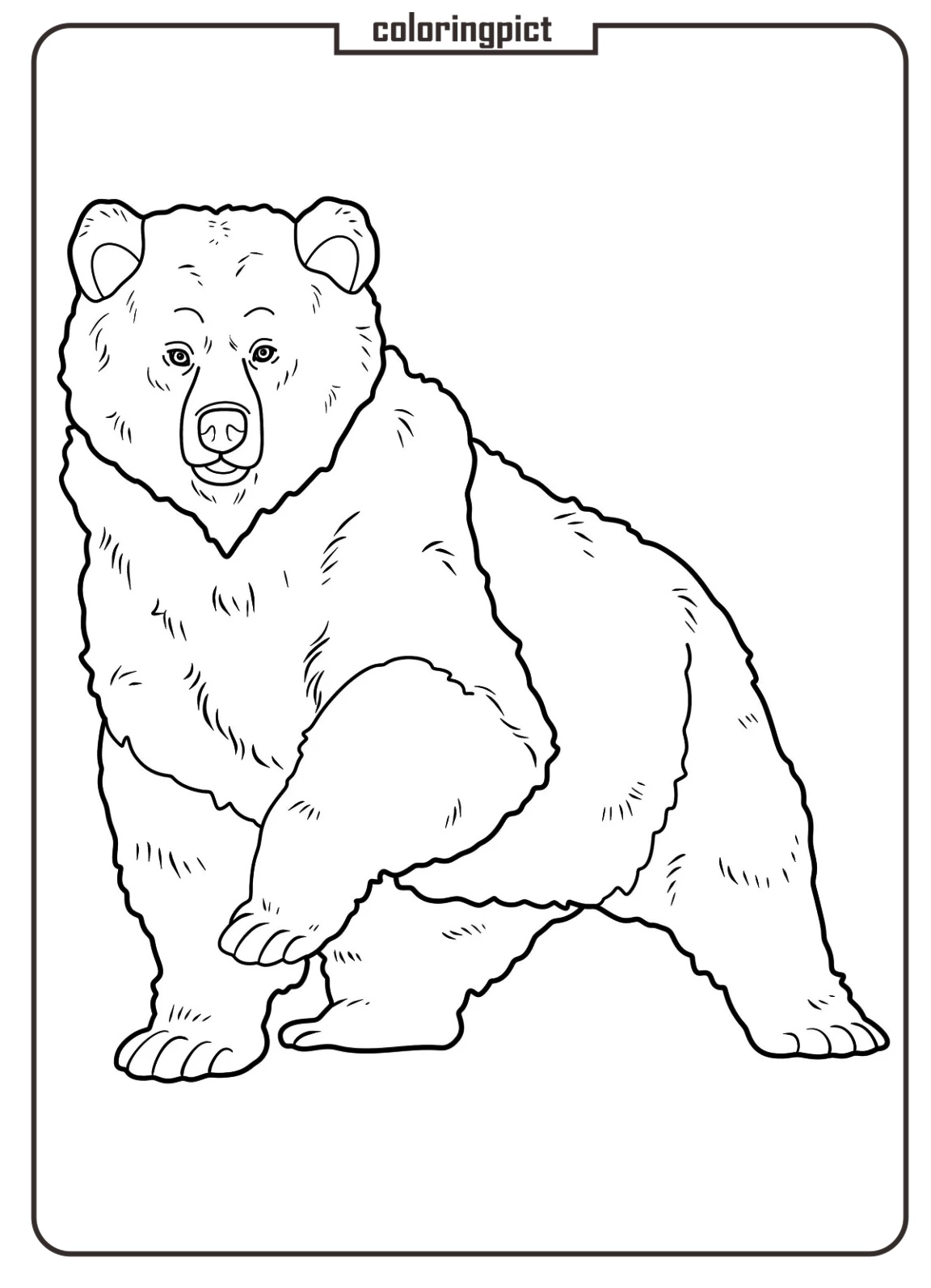 Big Bear Coloring Page