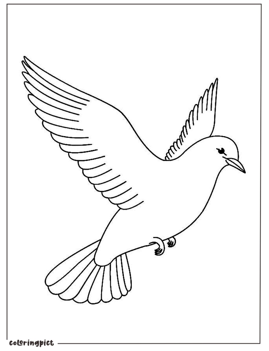 Fly High with Colorful Bird Coloring Page for Kids 6 Birds Colouring Pages for Kids