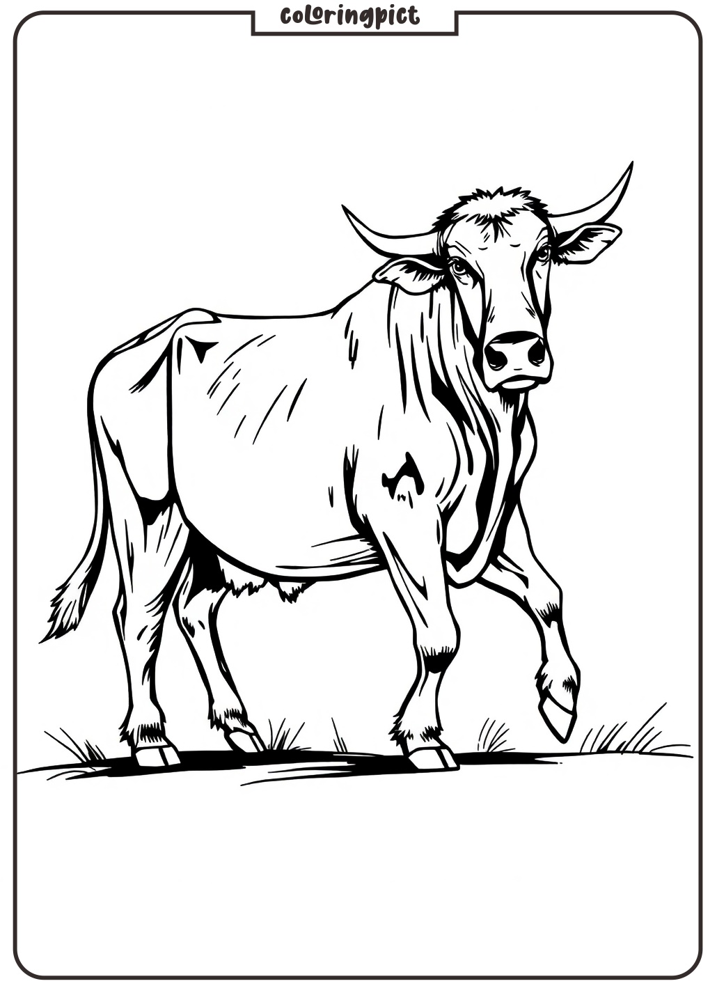Buffalo Coloring Page Printable