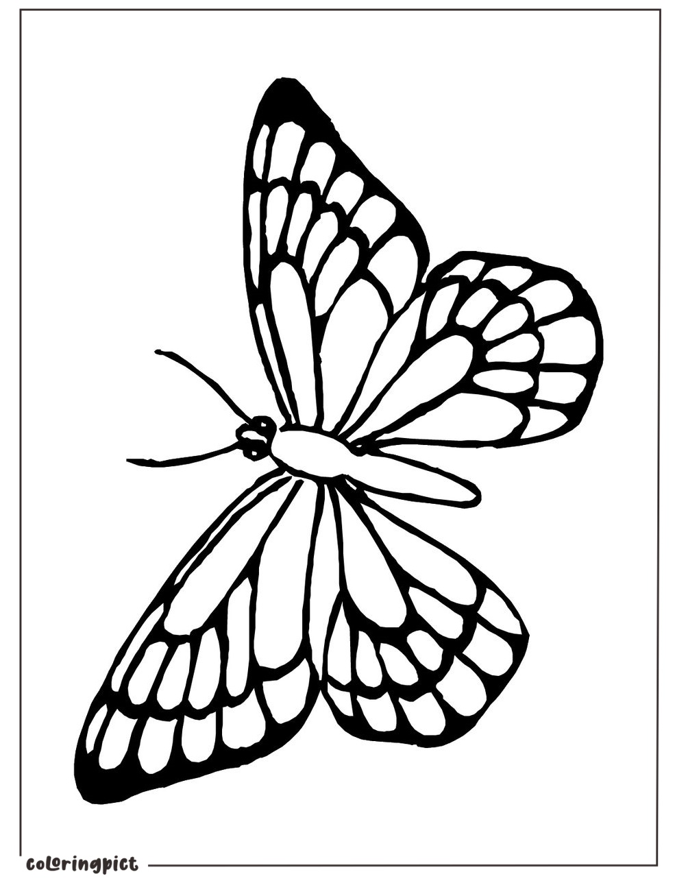 Let Your Imagination Take Flight with Butterfly Coloring Page 3 Butterfly Coloring Pages Print