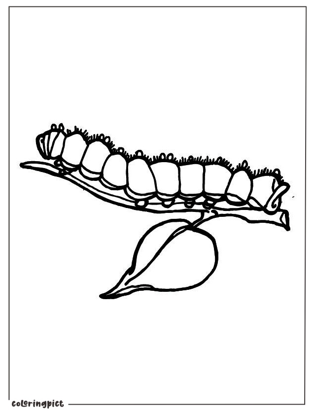 Cartoon Caterpillar Coloring Page