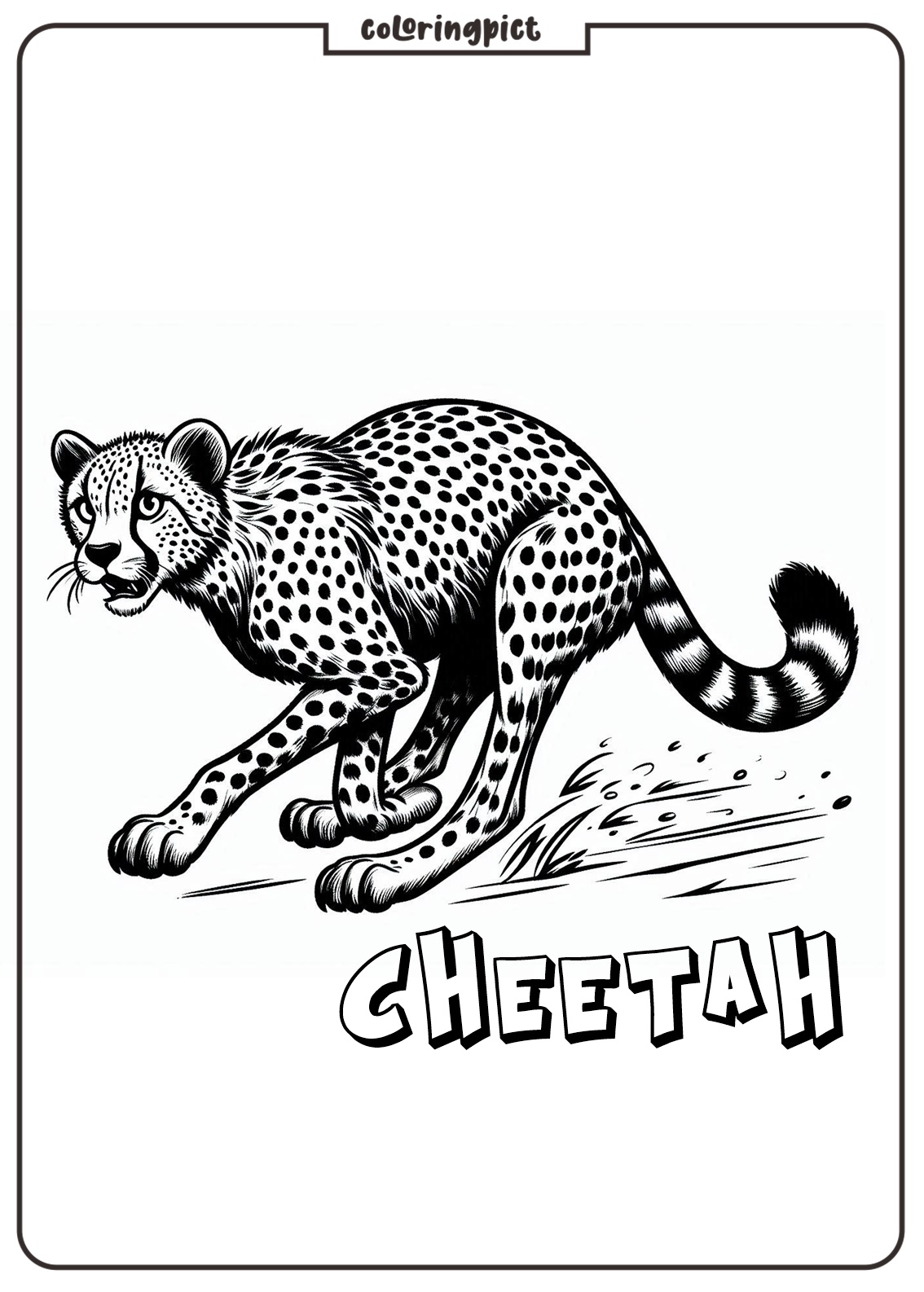 Cheetah Coloring Pages Printable
