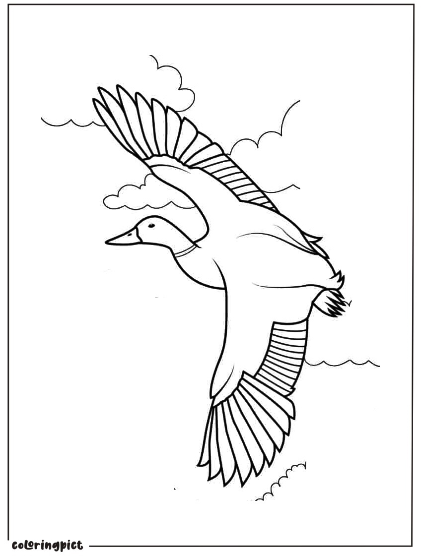 Coloring Page Of a Duck Flying for Kids