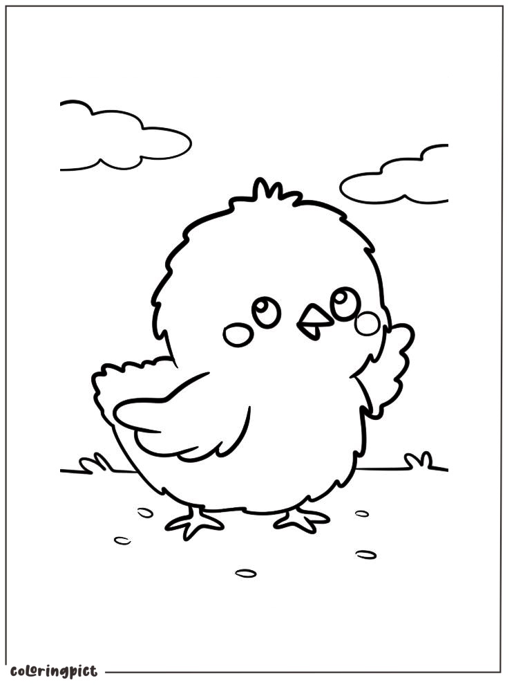 Cute Baby Chick Coloring Pages