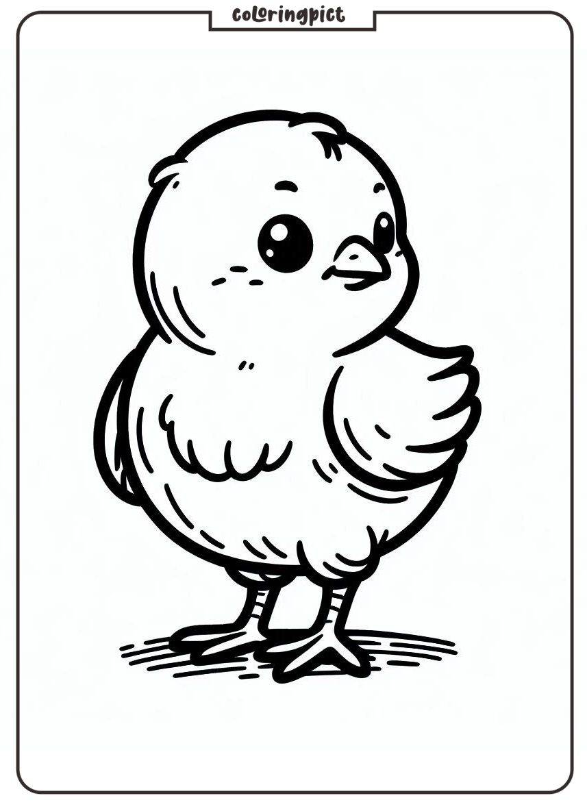 Cute Baby Chick Coloring Sheet
