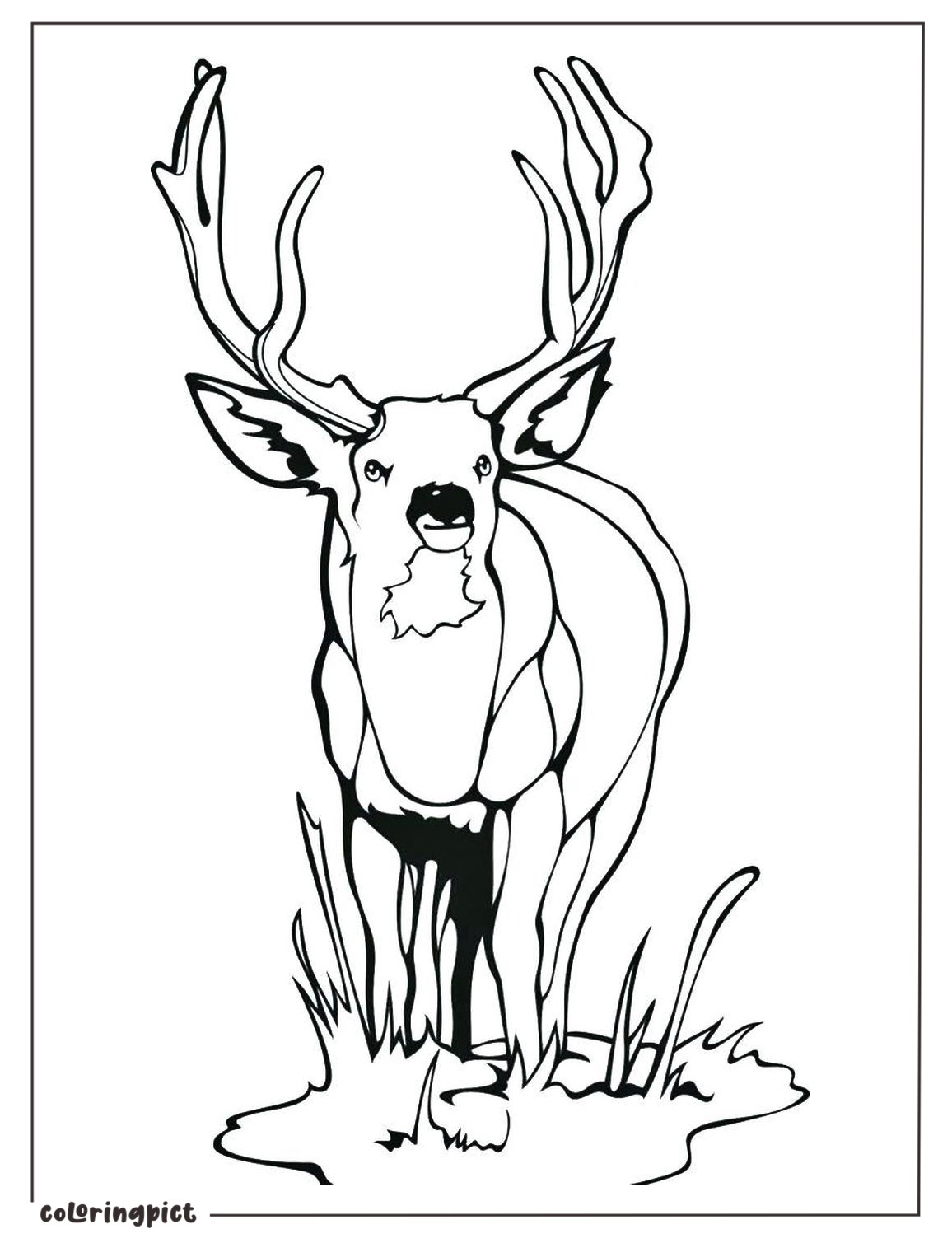 Deer Coloring Pages for kids