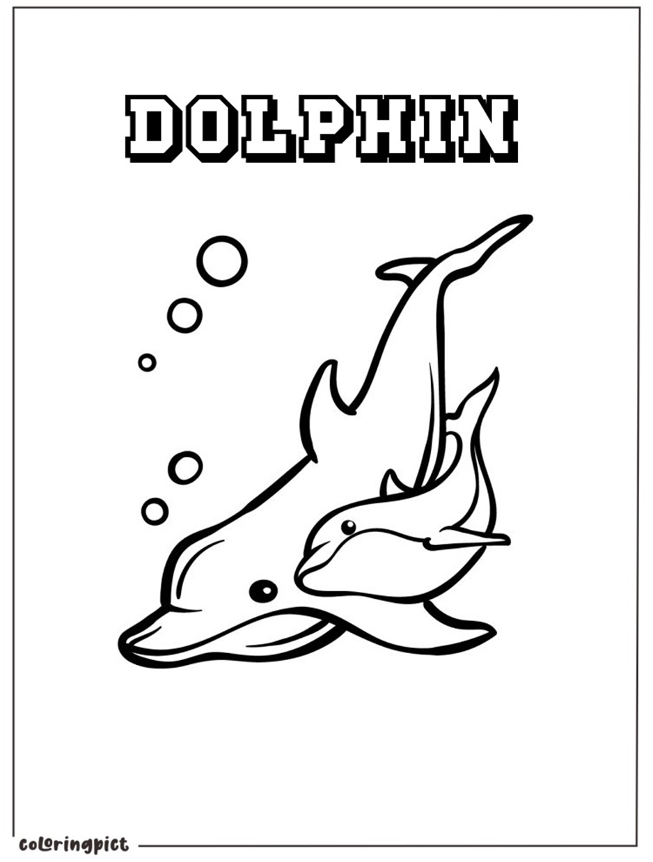 Friendly Dolphin Coloring Page 5 Dolphin Coloring Pages printable