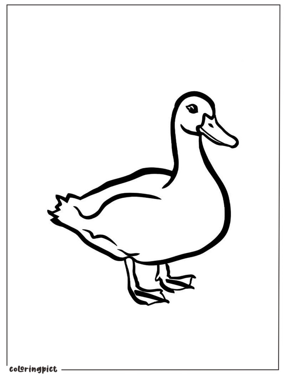 Cute and Friendly Duck Coloring Page 5 Duck Coloring Pages Printable