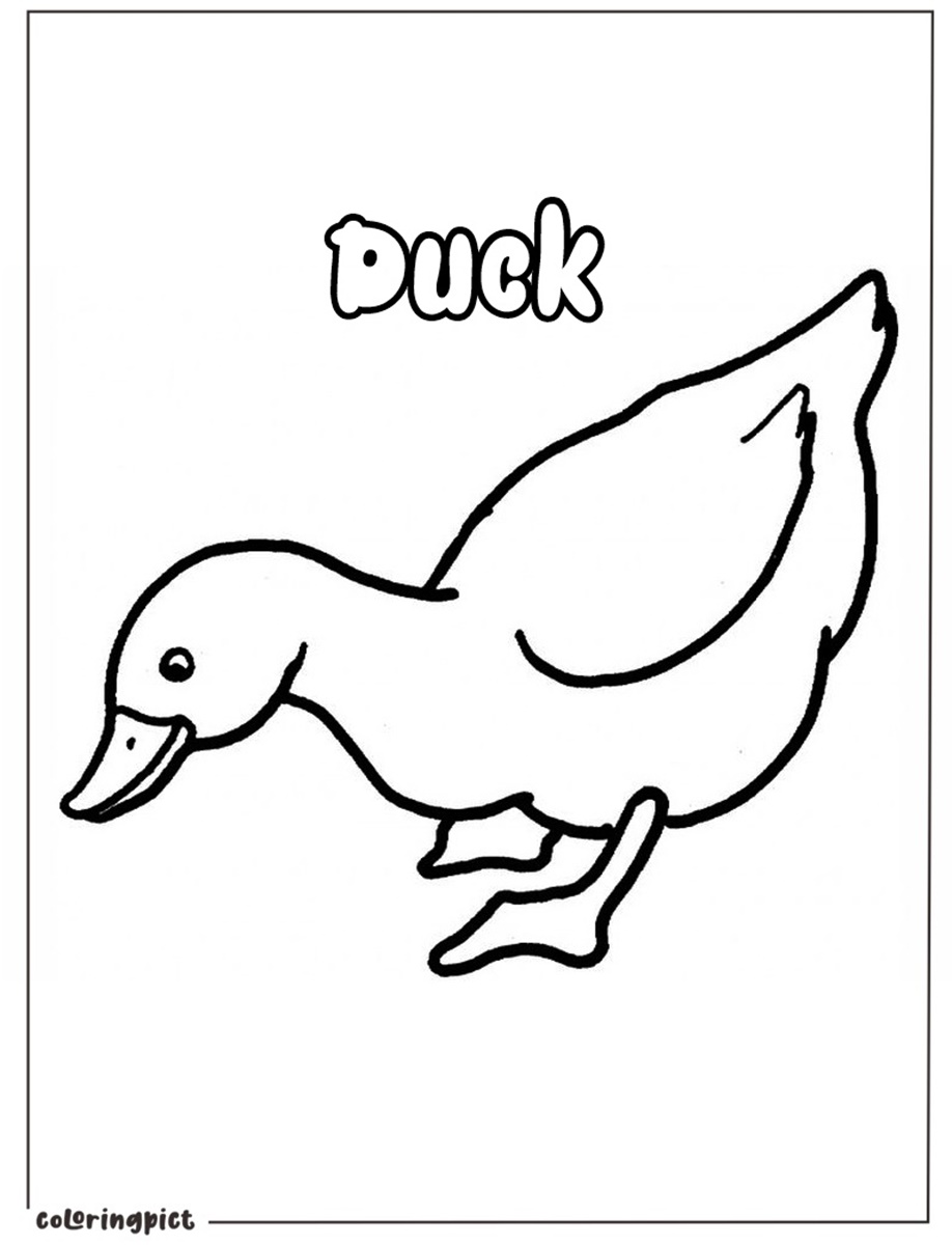 Cute and Friendly Duck Coloring Page 4 Duck Coloring Pages for Kids