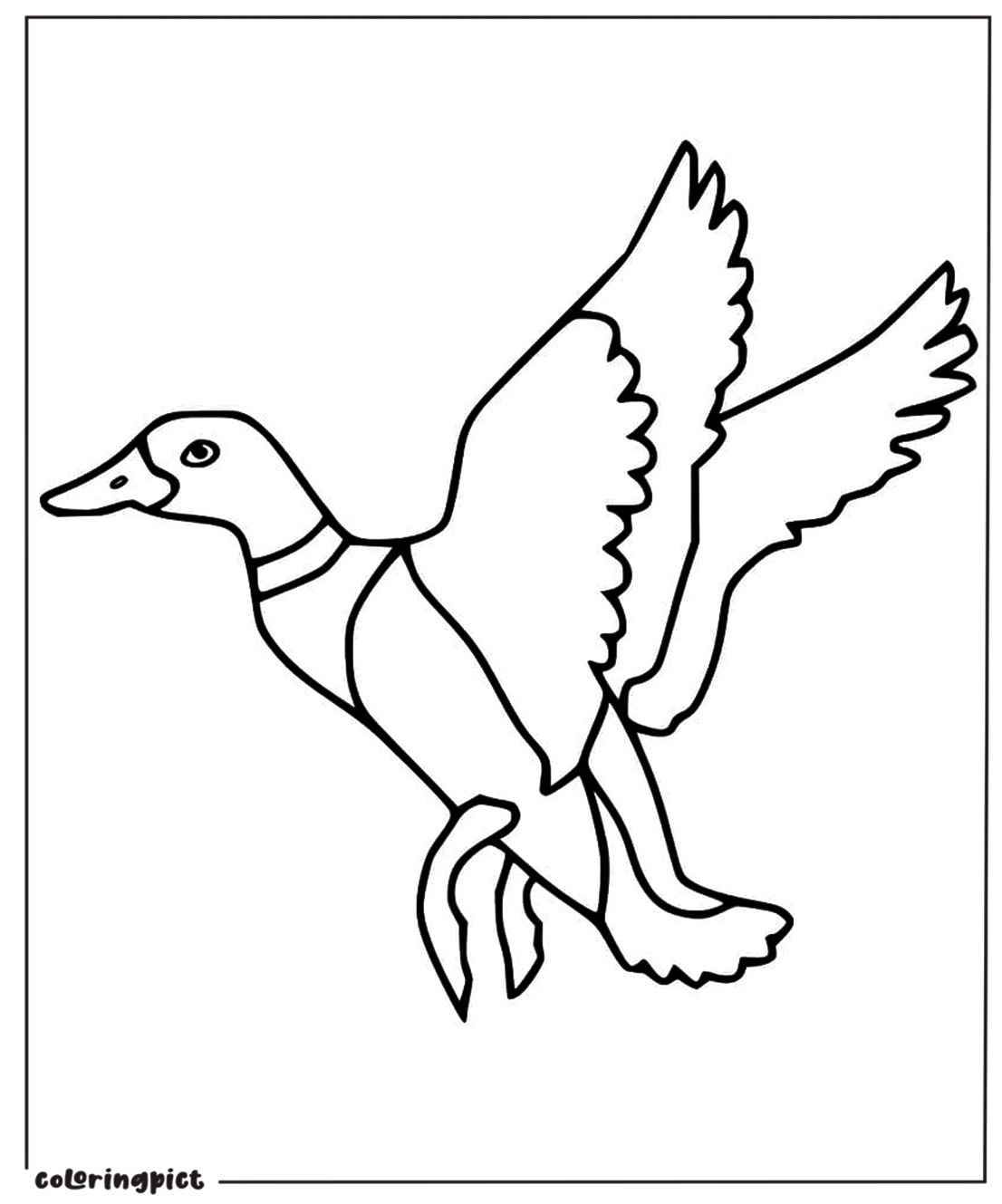 Ducks Are Flying Coloring Pages