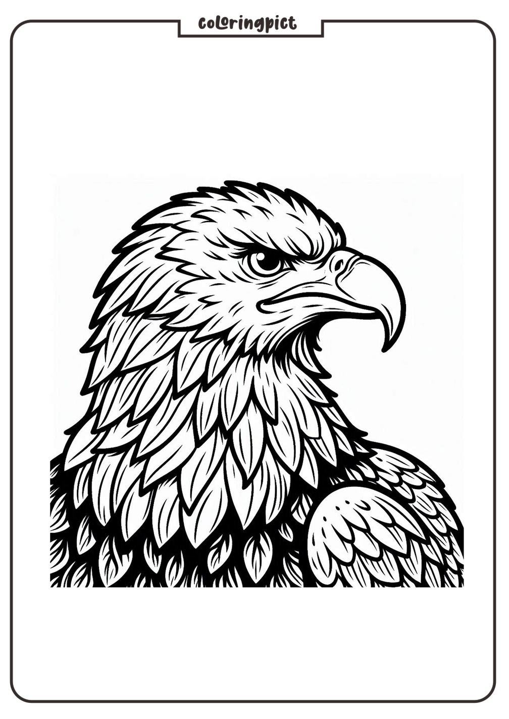 Eagle head coloring book