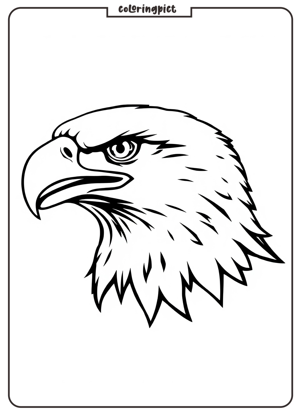 Eagle head coloring for kid