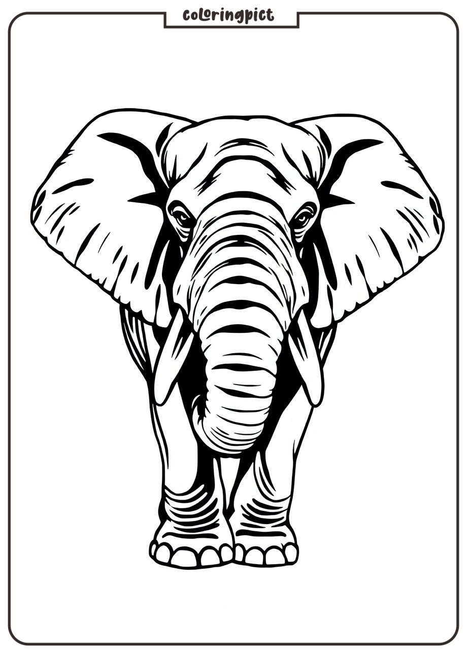 Easy Elephant Coloring pages