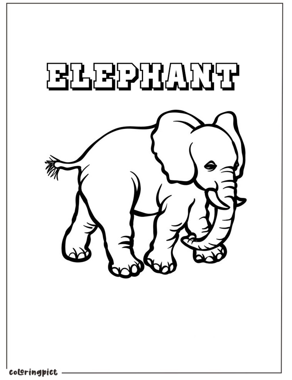 Elephant Coloring Page to Print