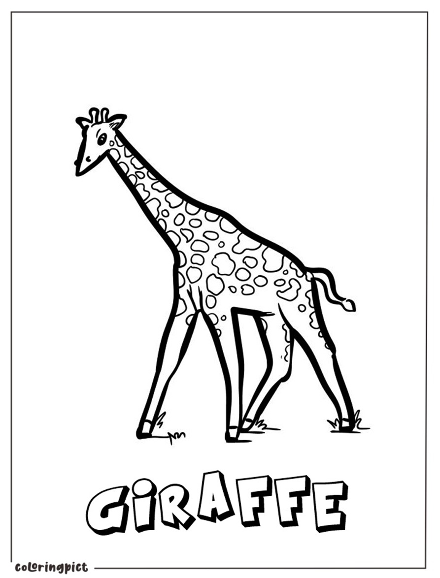 Animals with Long Necks, Giraffe Coloring Pages 5 Giraffe Coloring Page