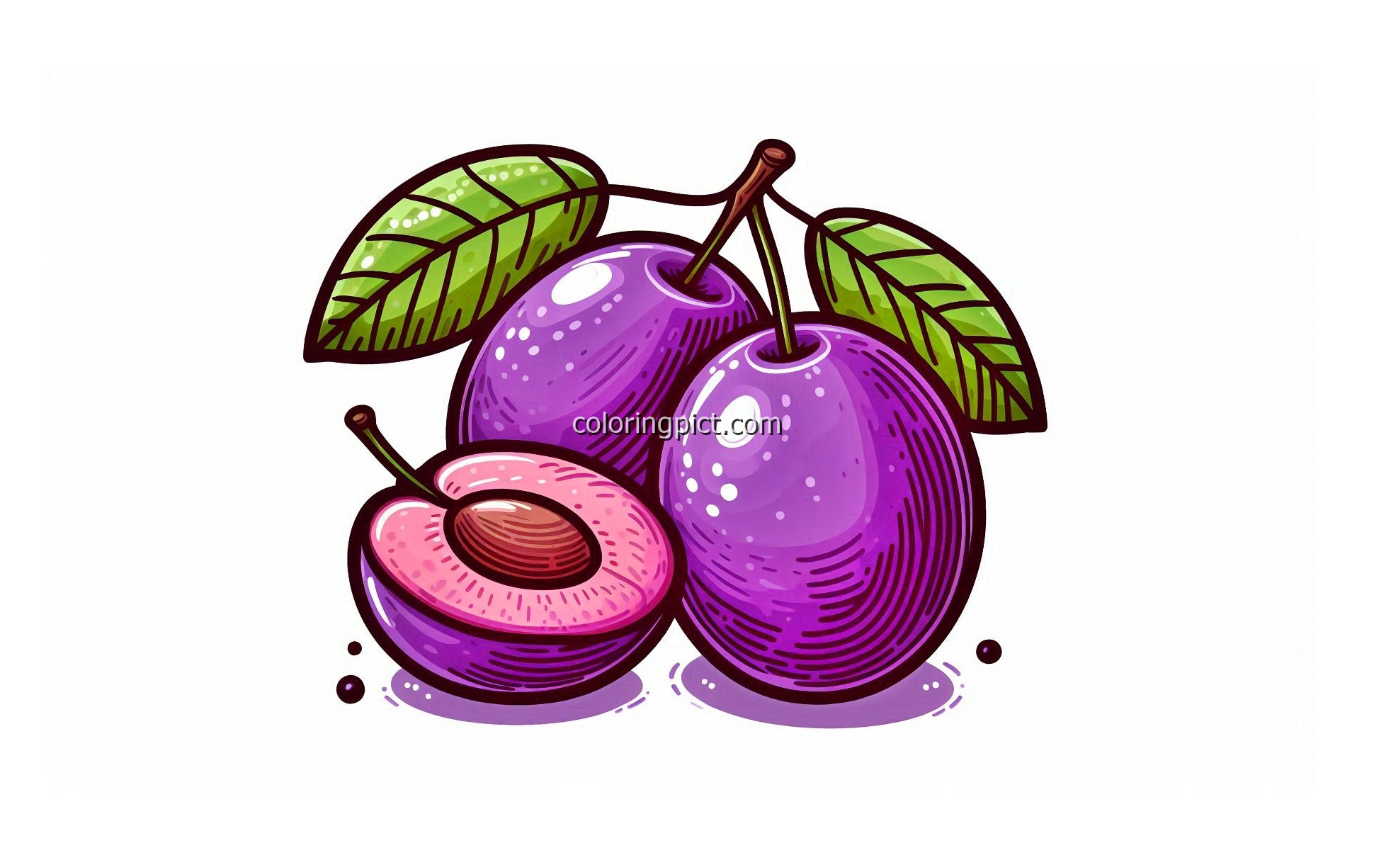 Fresh Plum Fruit Coloring Page 6 Image is Plum Coloring