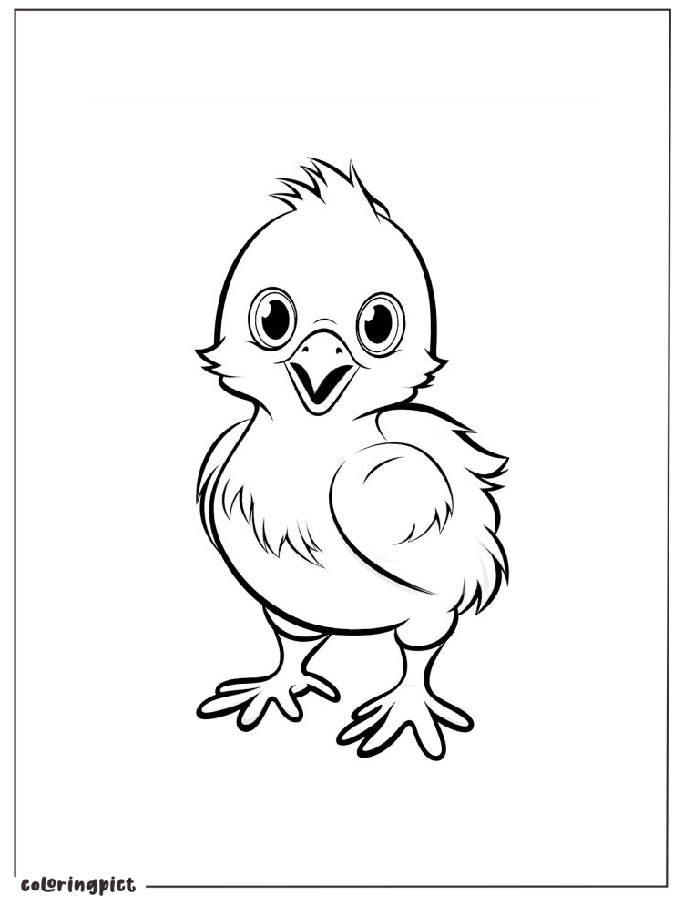 Little Chicken Coloring Pages