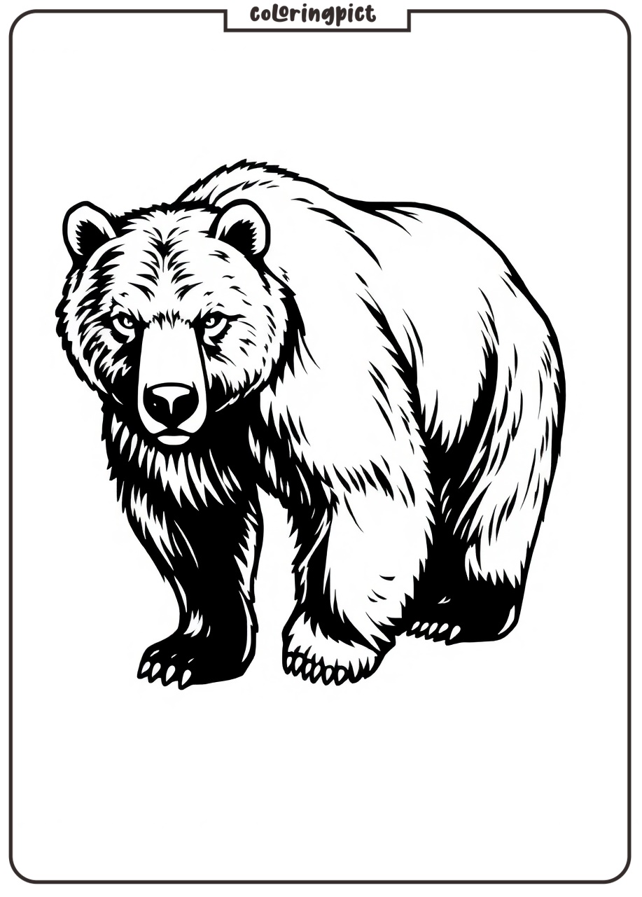 Printable Bear Coloring Page