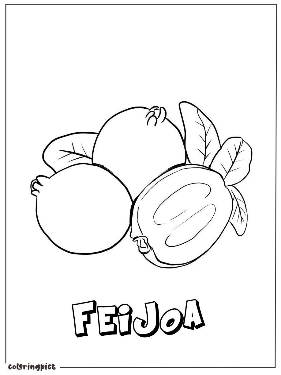 Feijoa Fruit Coloring Page 3 Printable Feijoa coloring picture print