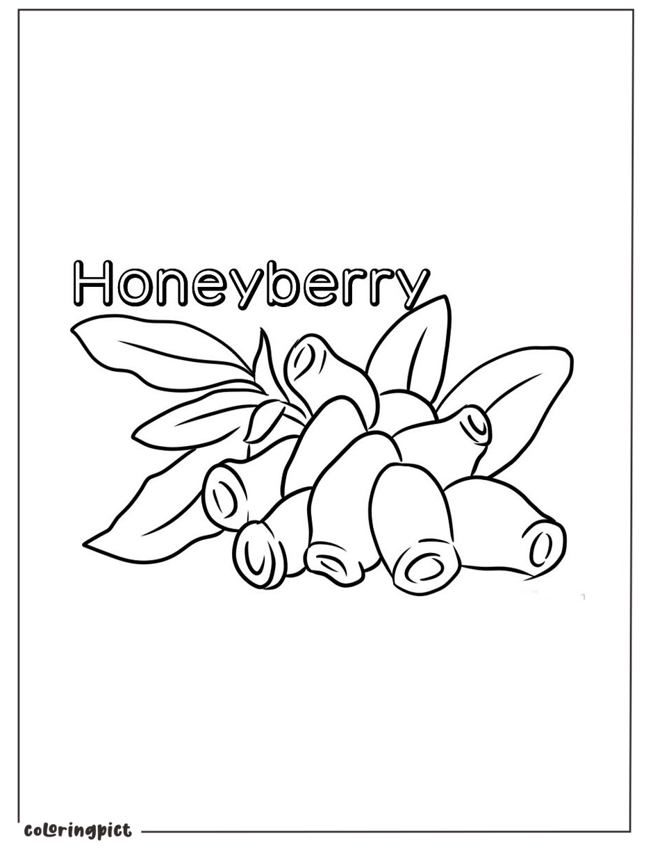 Unique and Delicious Fruits, Honeyberry Coloring Pages 1 Printable honeyberry coloring image