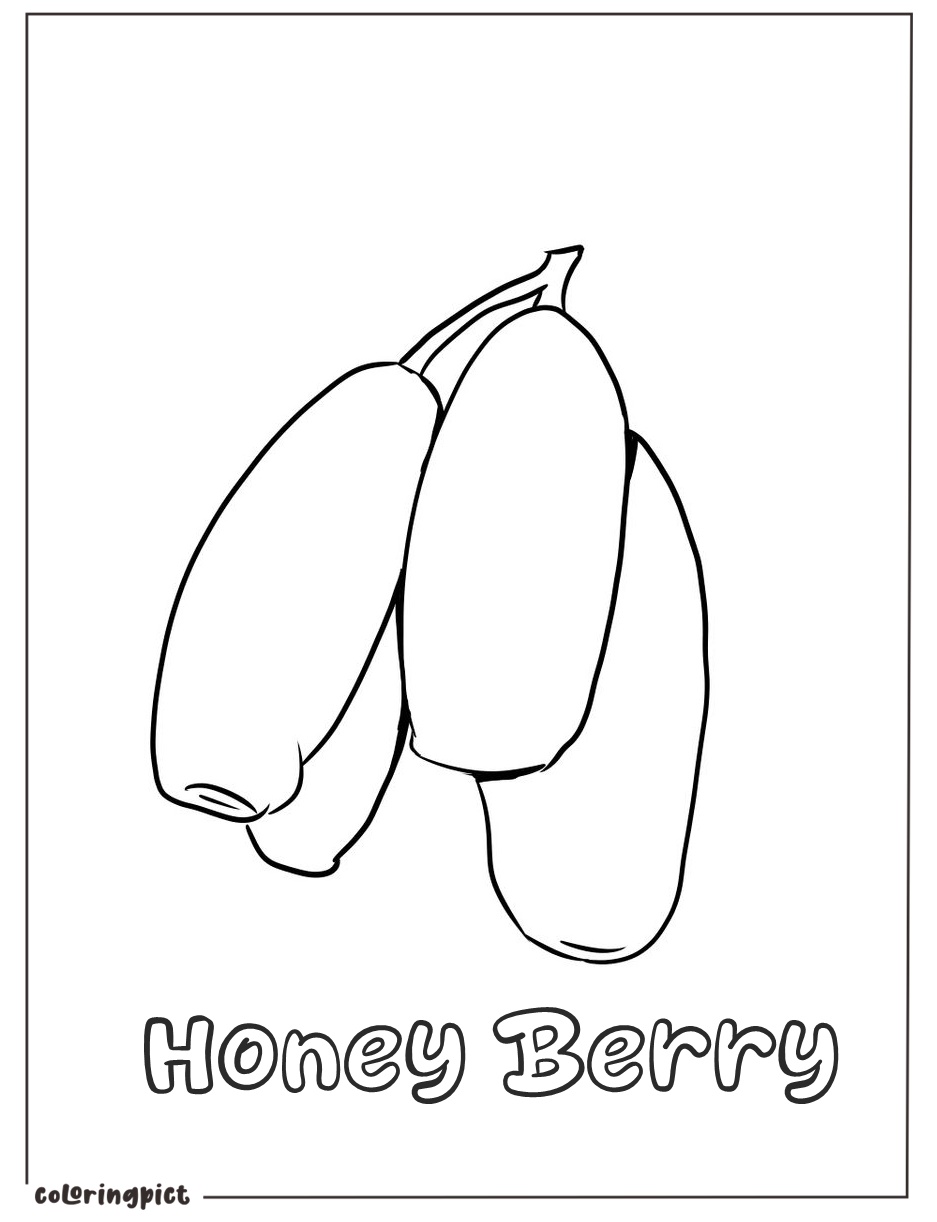 Unique and Delicious Fruits, Honeyberry Coloring Pages 2 Printable honeyberry coloring images print