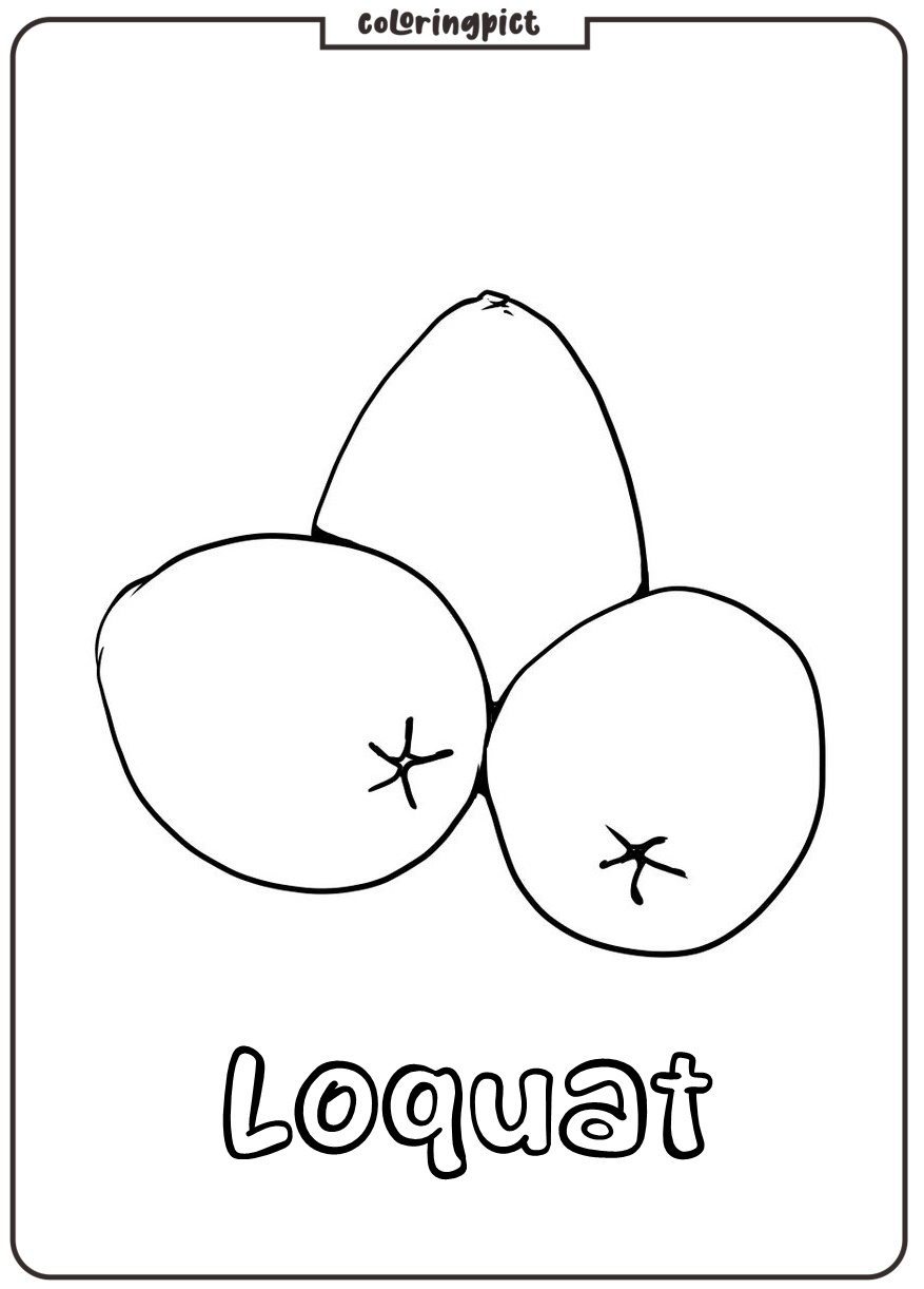 Printable loquat coloring images print