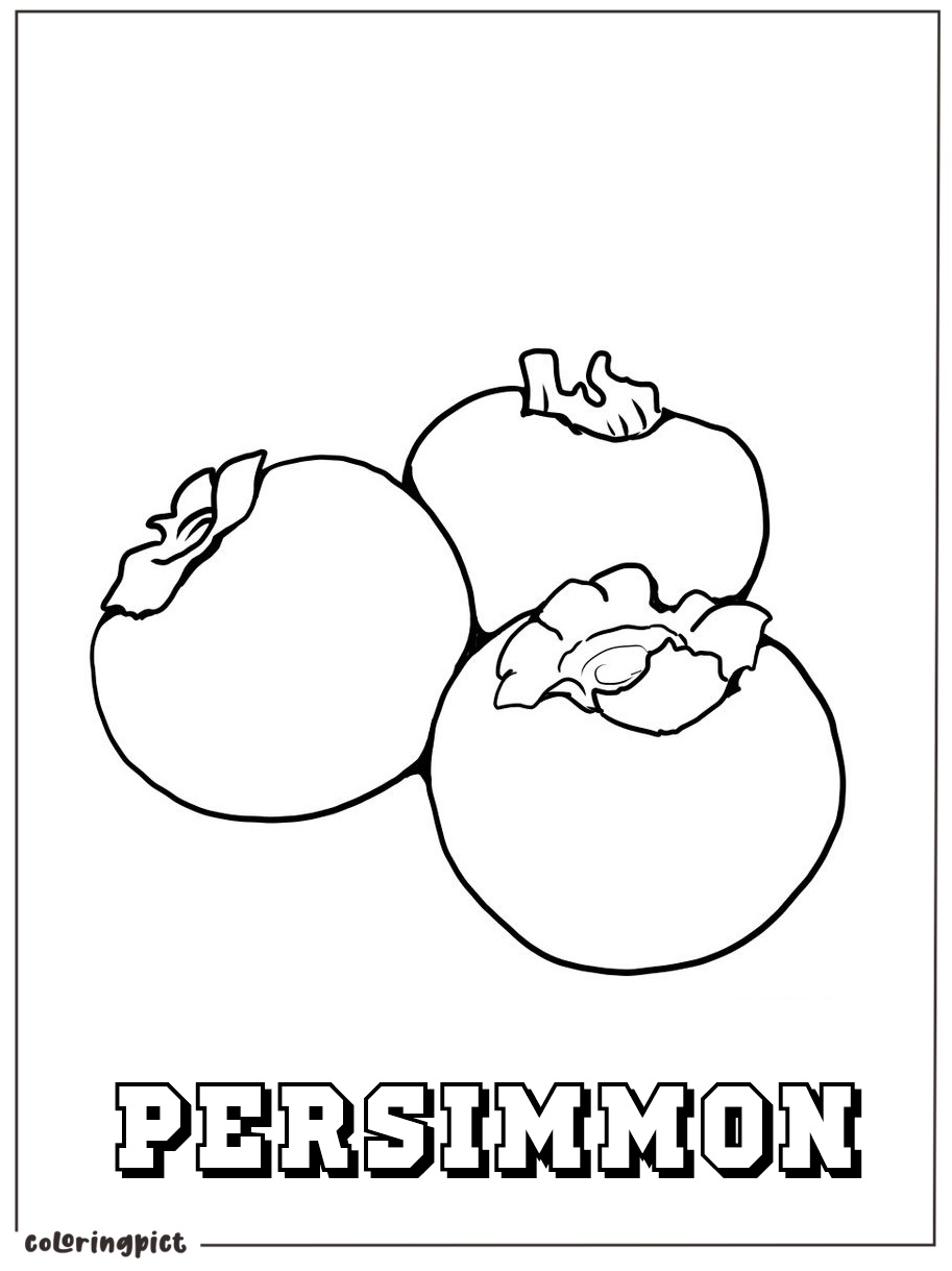 Delicious Fall Fruits, Persimmon Coloring Page 2 Printable persimmon coloring images print