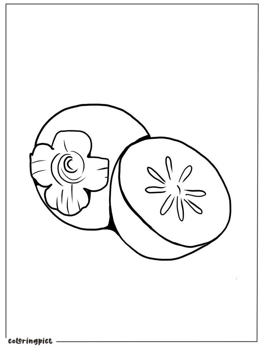 Delicious Fall Fruits, Persimmon Coloring Page 4 Printable persimmon coloring pages pdf