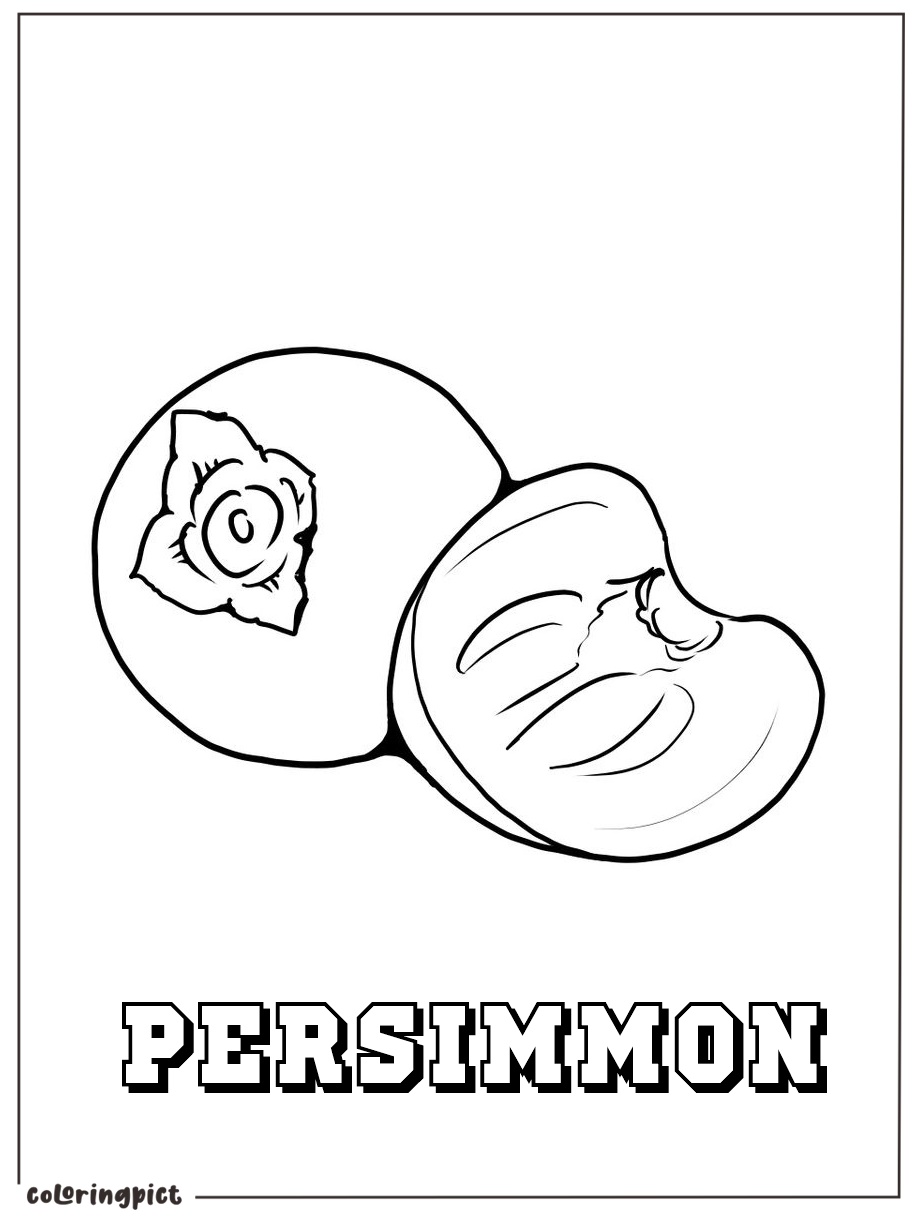 Delicious Fall Fruits, Persimmon Coloring Page 5 Printable persimmon coloring picture