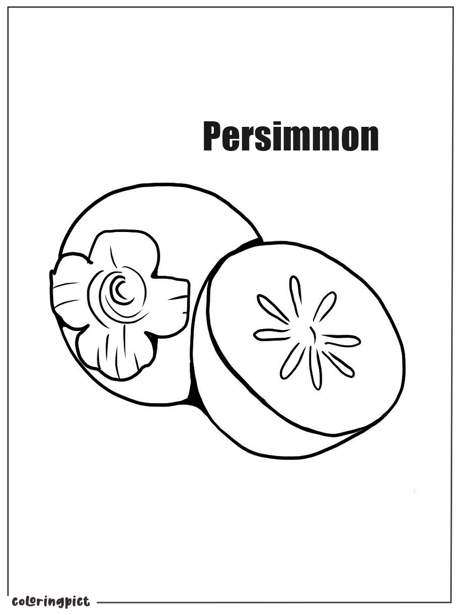 Delicious Fall Fruits, Persimmon Coloring Page 6 Printable persimmon coloring