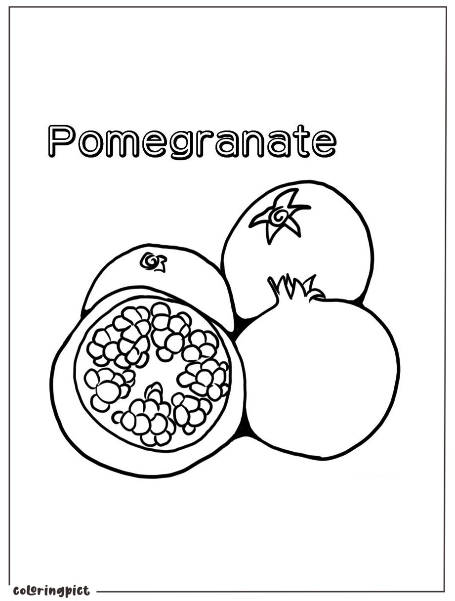 Printable pomegranate coloring page