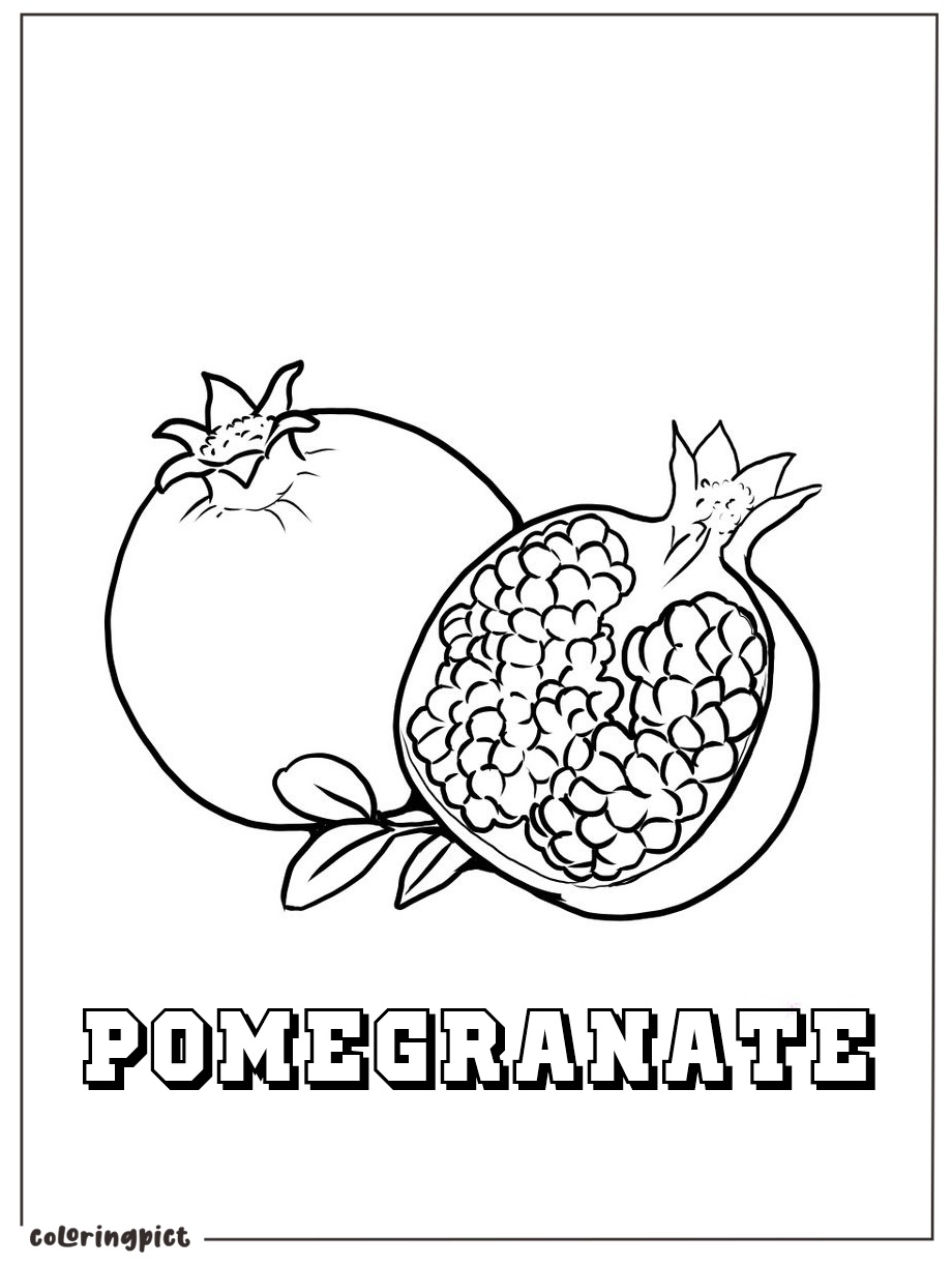 Printable pomegranate coloring