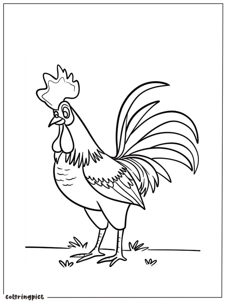 Rooster Pages Coloring