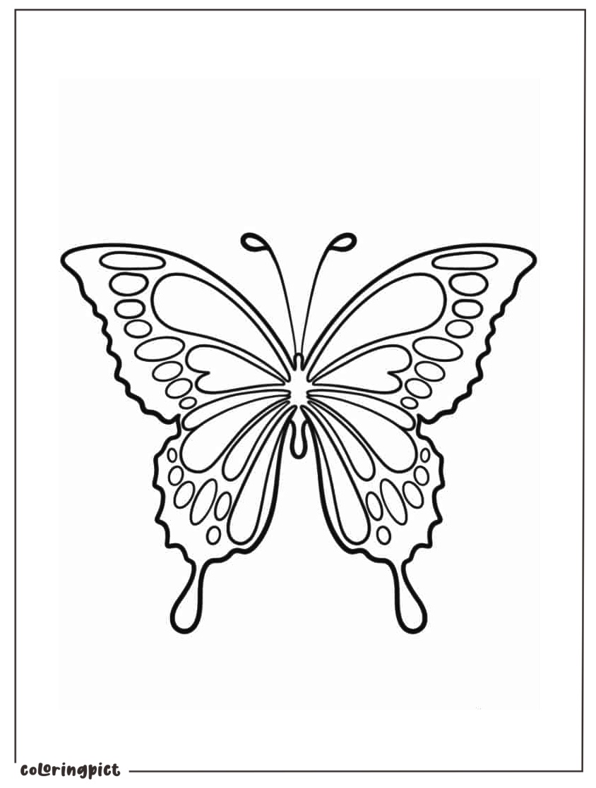 Let Your Imagination Take Flight with Butterfly Coloring Page 5 Simple Coloring Butterfly Coloring Page