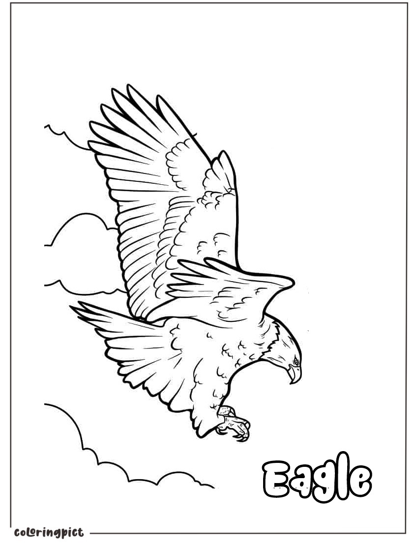 Swooping Eagle Coloring Page