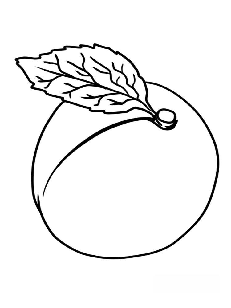 Sweet and Bright Apricot Coloring Page 2 apricot coloring page image pdf
