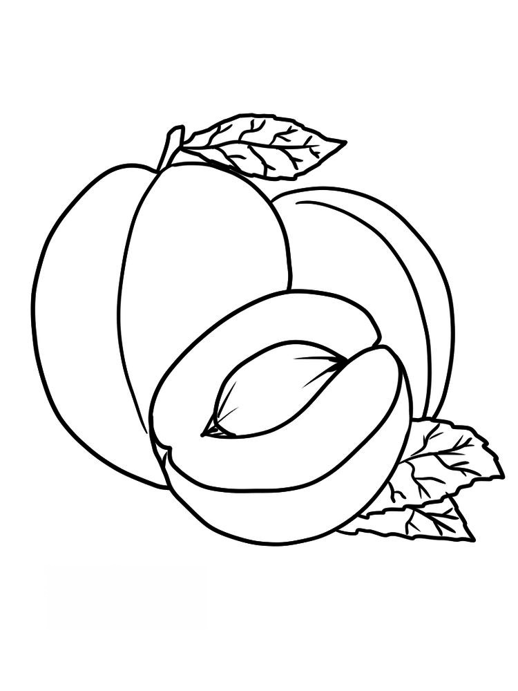 Sweet and Bright Apricot Coloring Page 3 apricot coloring page print pdf