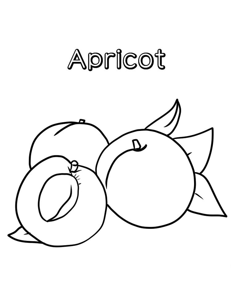 Sweet and Bright Apricot Coloring Page 4 apricot coloring page printable pdf