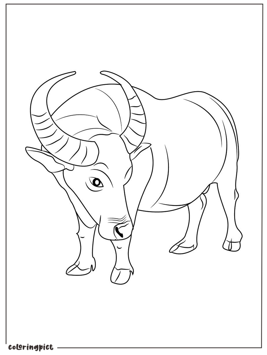 buffalo coloring page for kids
