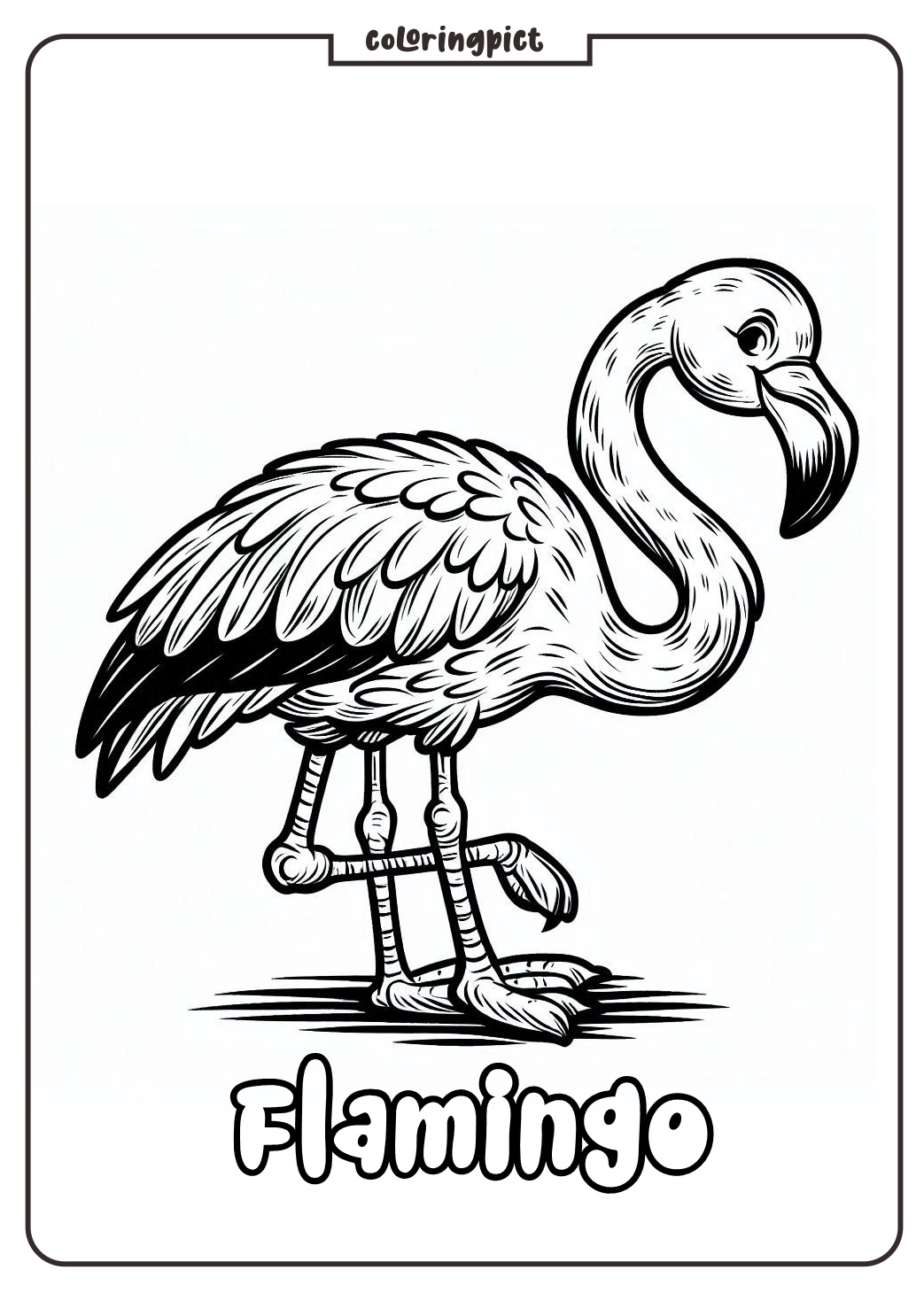 coloring page flamingo printable