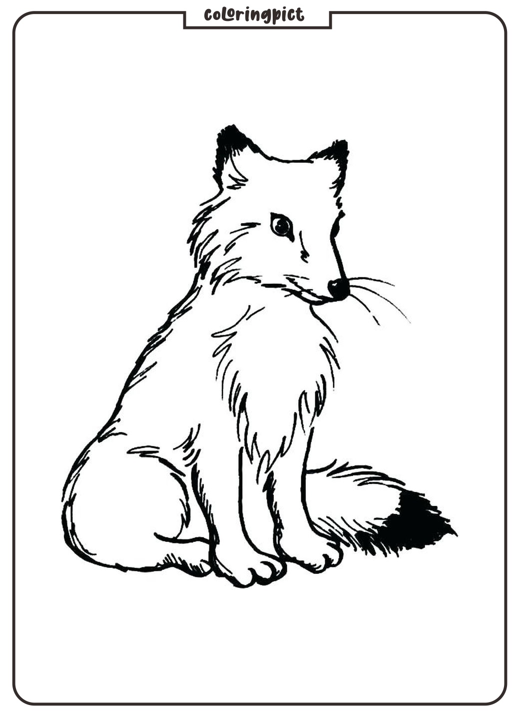 coloring page fox for kids