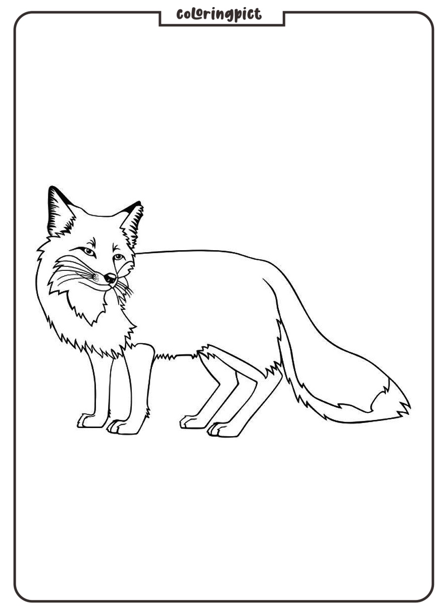 coloring page fox print