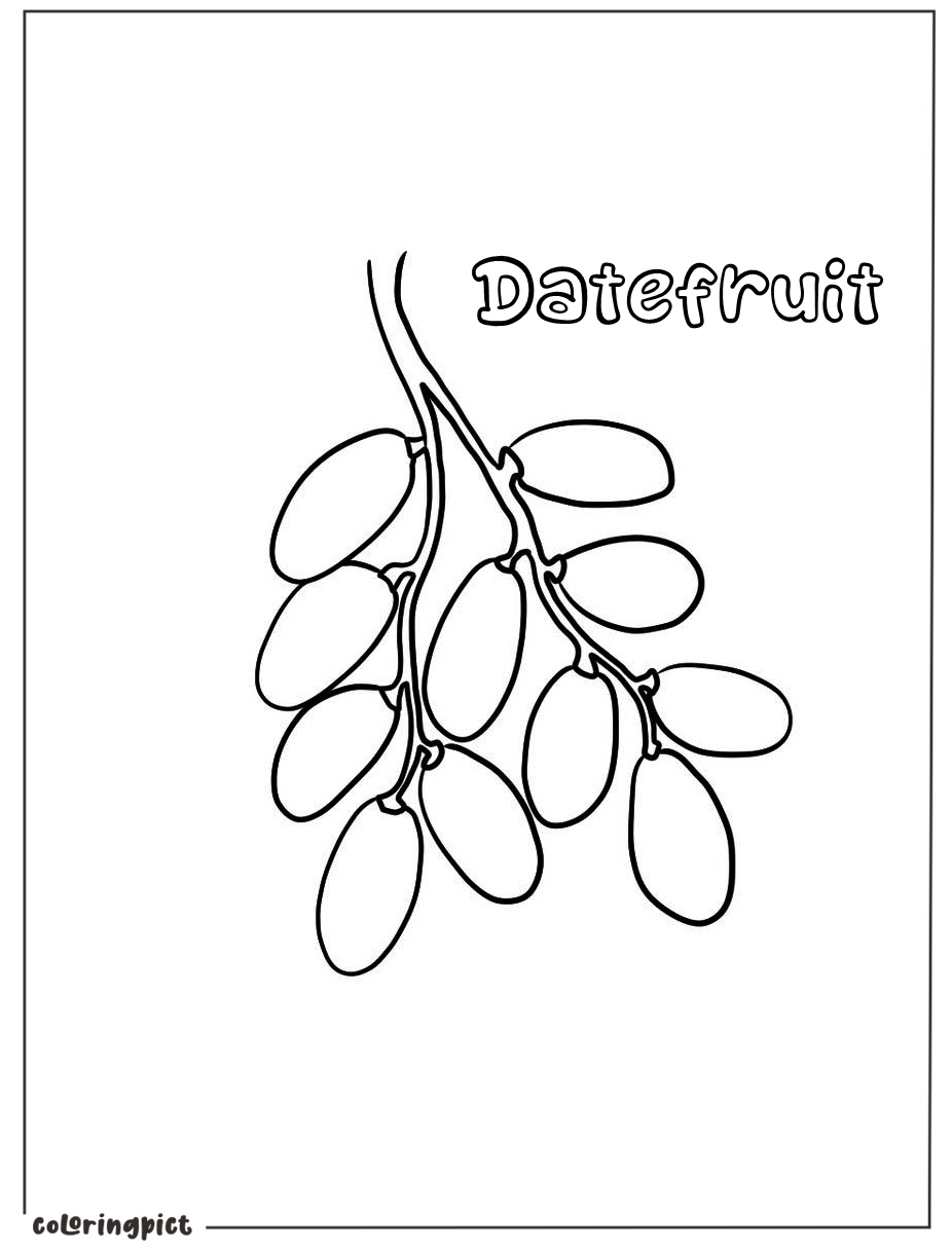 Sweet and Nutritious Fruit, Date Fruit Coloring Page 4 date fruit coloring pages print for kids