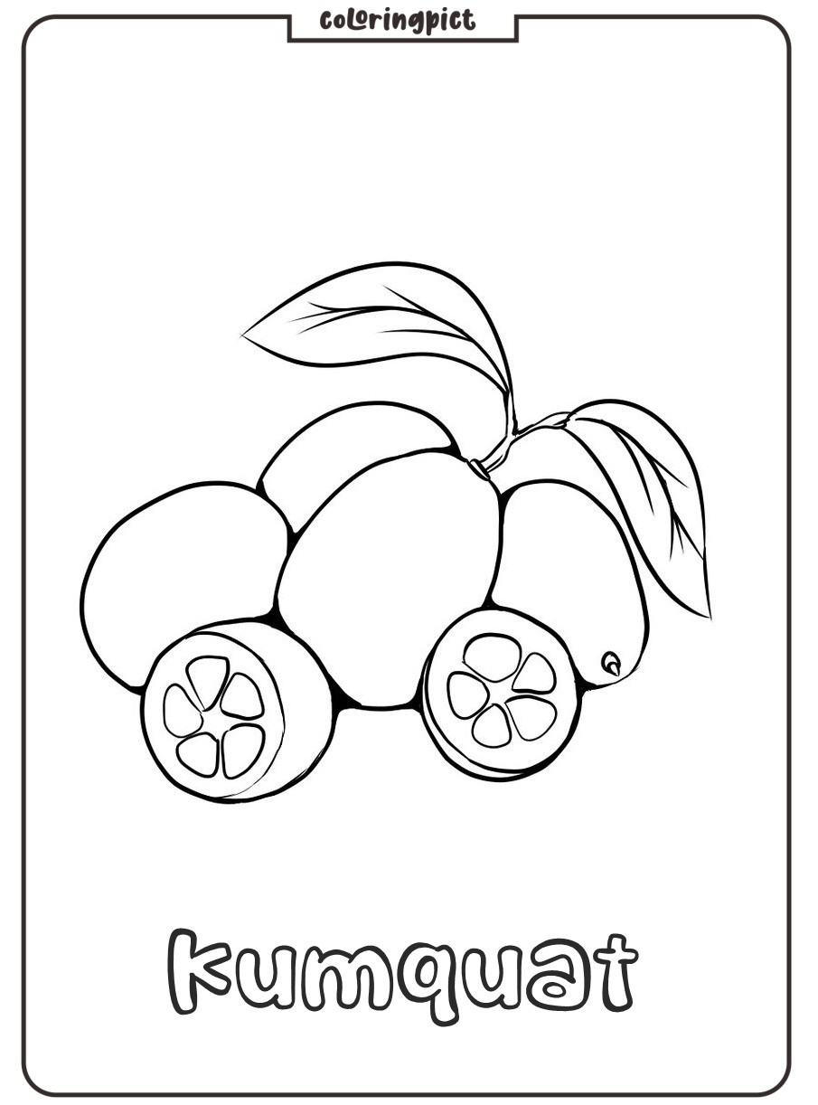 download kumquat coloring printable free
