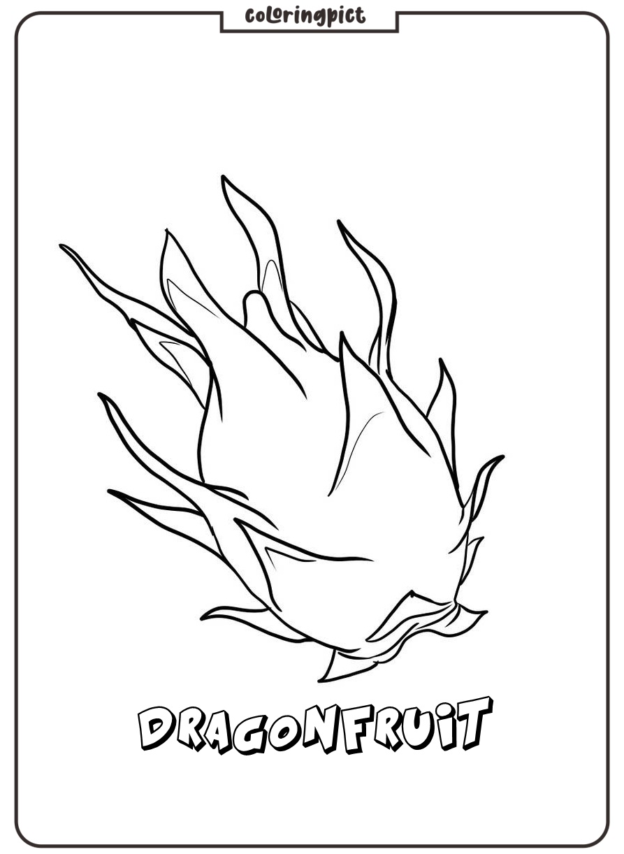 dragonfruit illustration pdf free