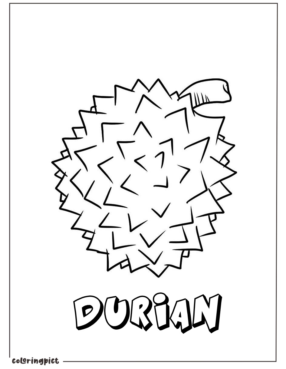 durian coloring image for kids