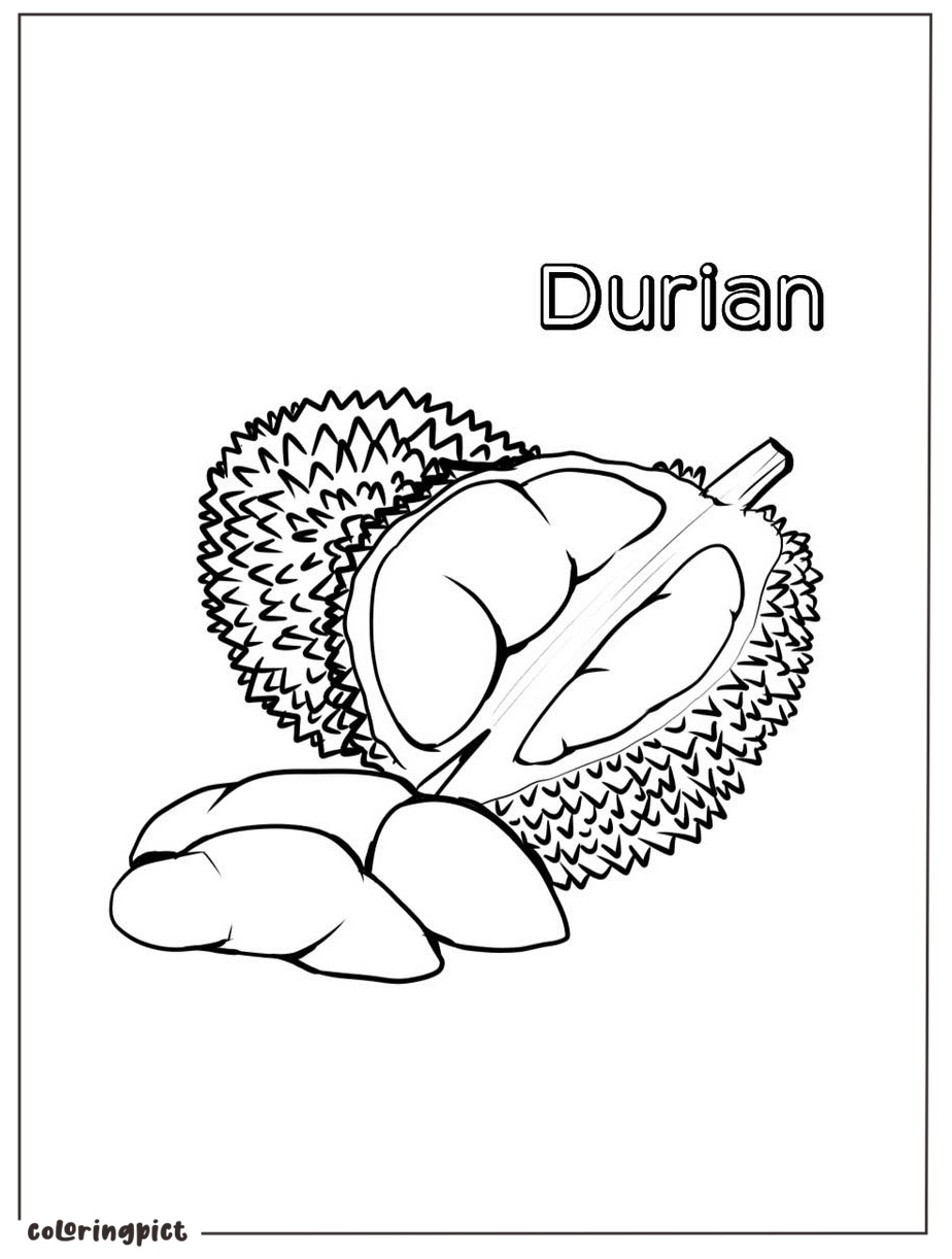 durian coloring page free