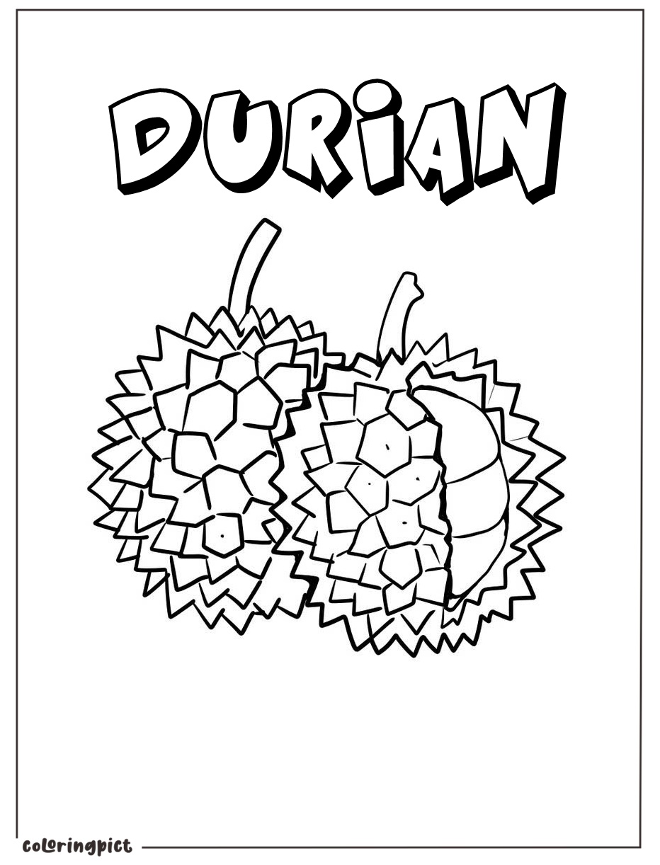 durian coloring picture print