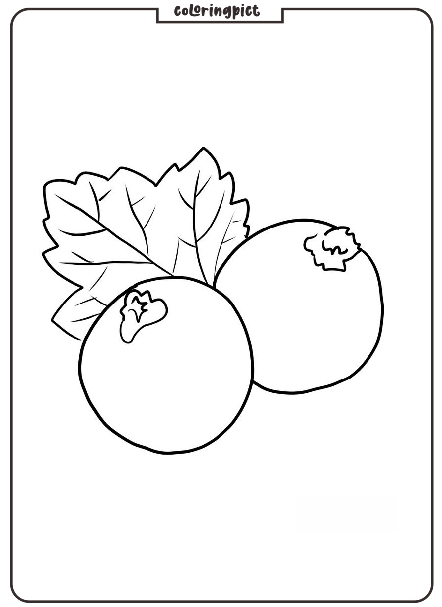 easy black currant coloring page for print