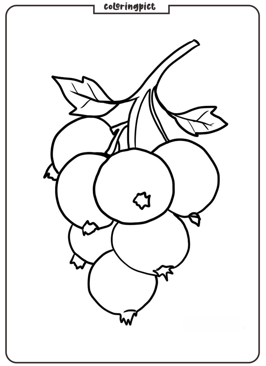 easy black currant coloring page